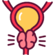 prostate